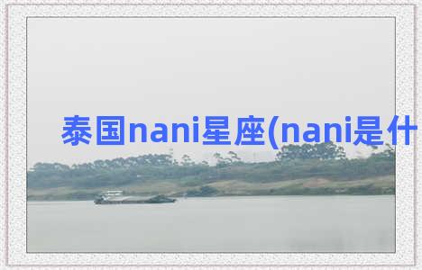 泰国nani星座(nani是什么星座)