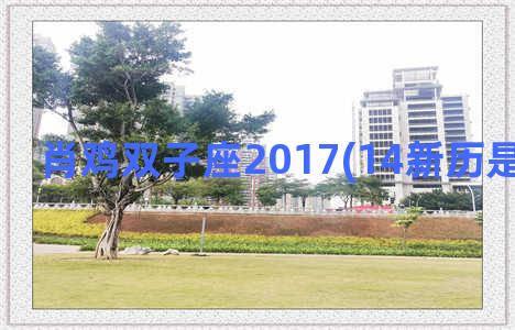 肖鸡双子座2017(14新历是什么时候)